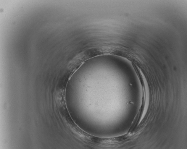 X0000068830237200605121349