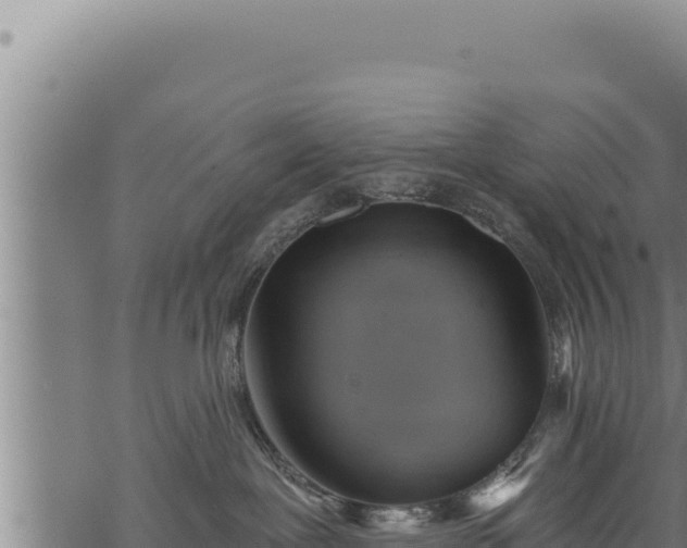 X0000068830239200605121349