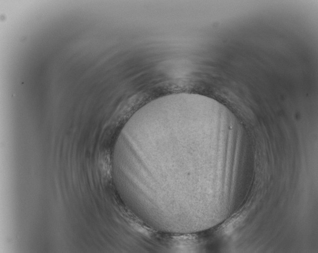 X0000068830240200605121349