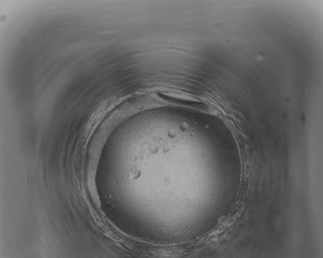 X0000068830241200605121348