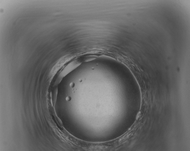 X0000068830242200605121348