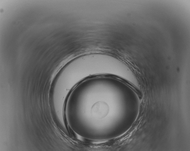 X0000068830244200605121348