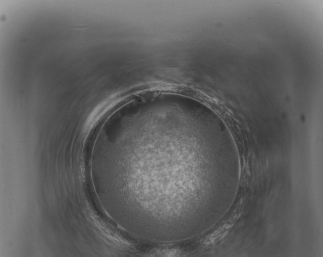 X0000068830247200605121348