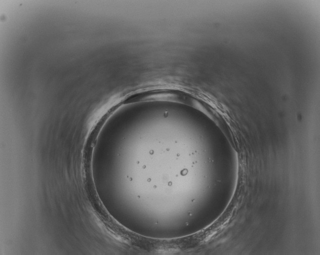 X0000068830248200605121348