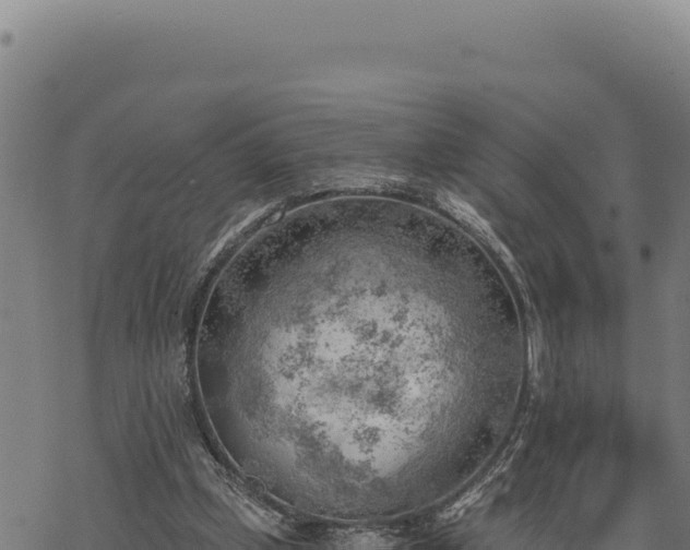 X0000068830249200605121348