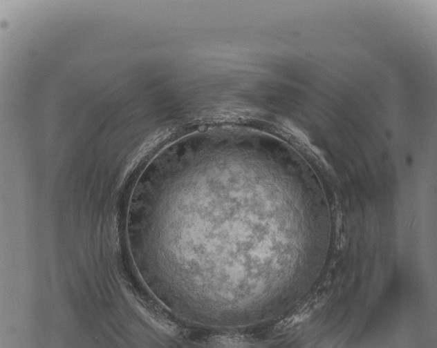 X0000068830250200605121348