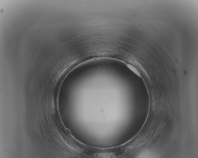 X0000068830251200605121348