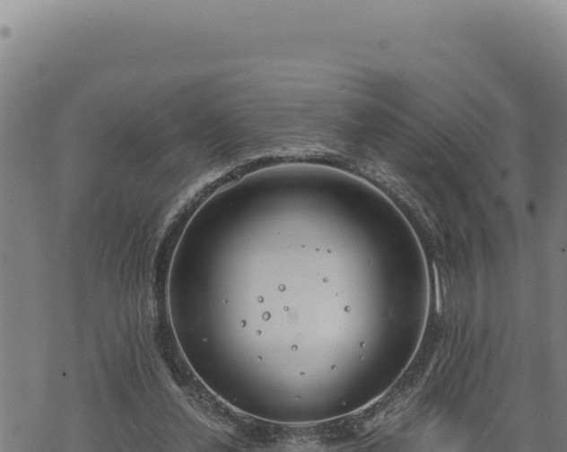 X0000068830252200605121348