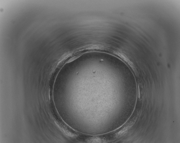 X0000068830253200605121348