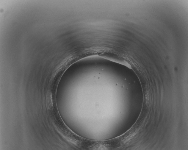 X0000068830254200605121348