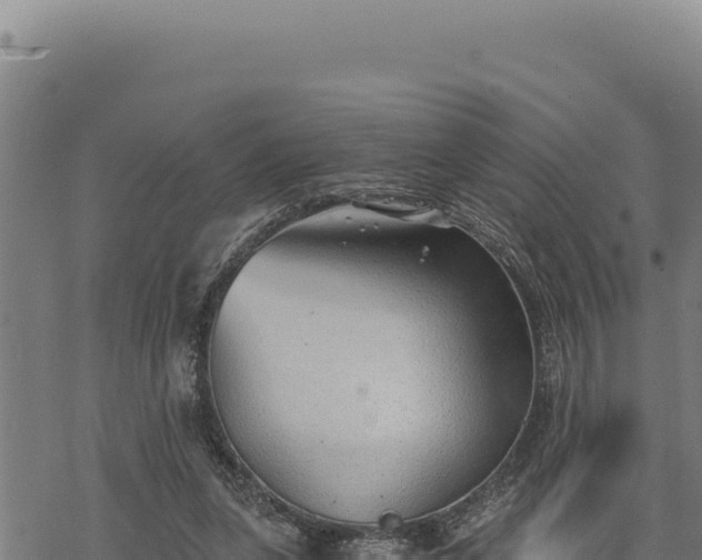 X0000068830255200605121348