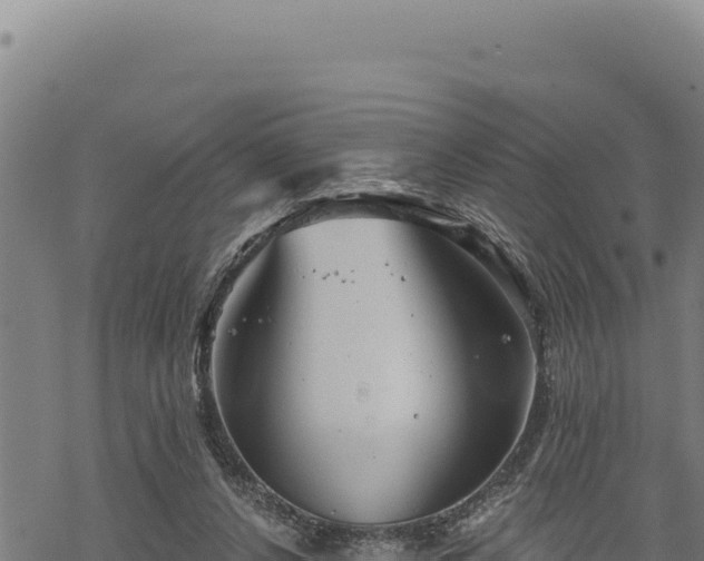 X0000068830256200605121348