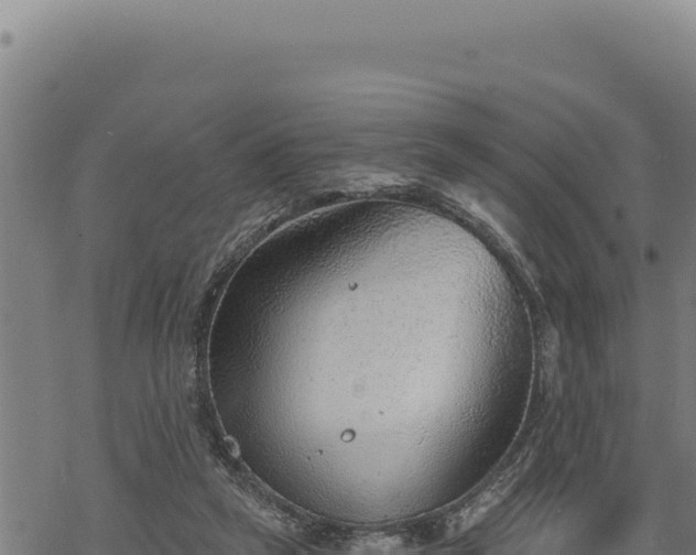 X0000068830257200605121348