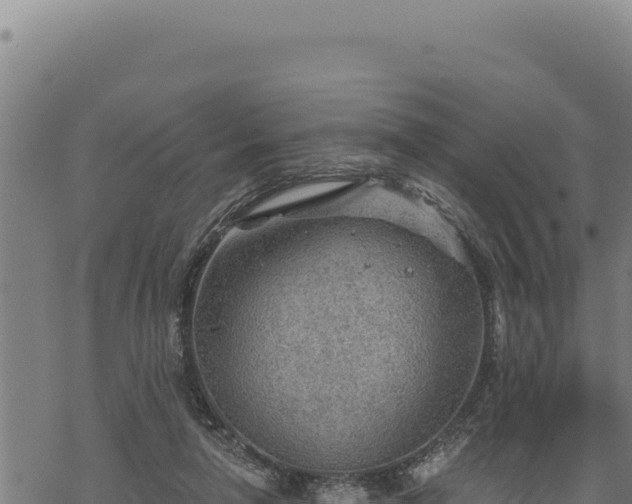 X0000068830258200605121348