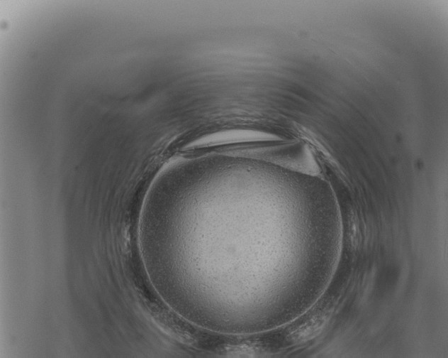 X0000068830259200605121348