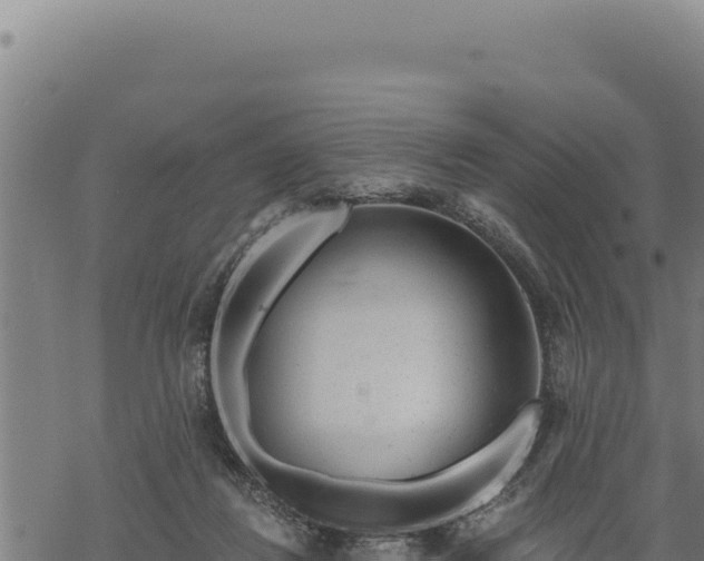 X0000068830260200605121348