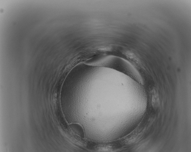 X0000068830263200605121348