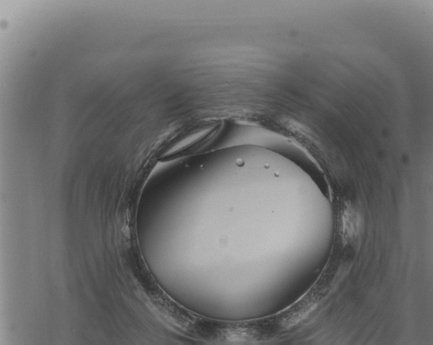 X0000068830264200605121348