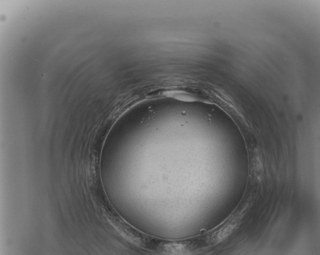 X0000068830265200605121348