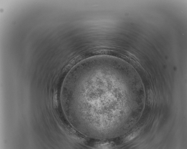 X0000068830267200605121348