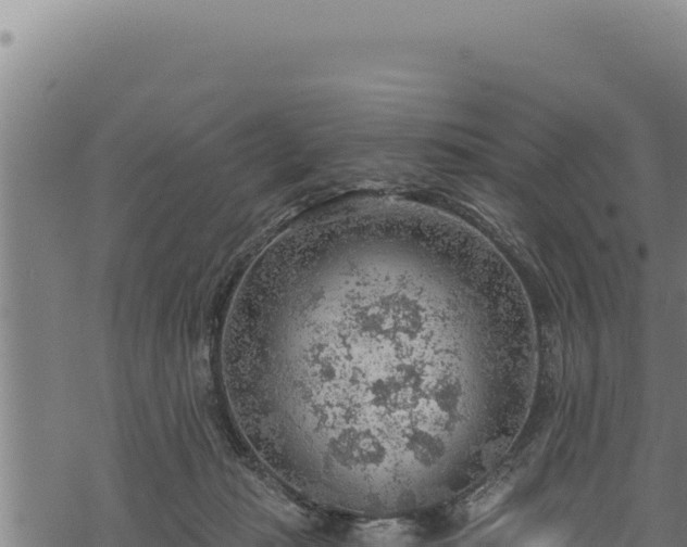 X0000068830269200605121349