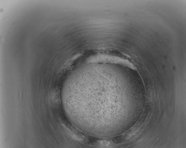 X0000068830272200605121349