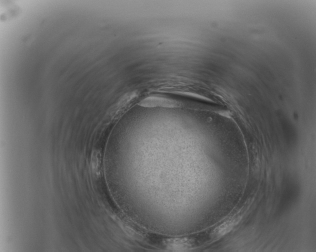 X0000068830273200605121349