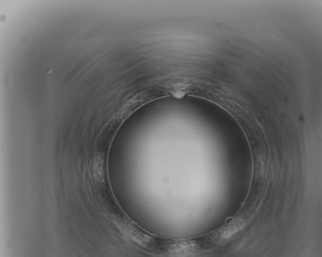 X0000068830274200605121349