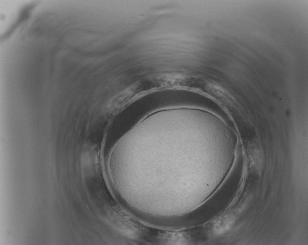 X0000068830276200605121349