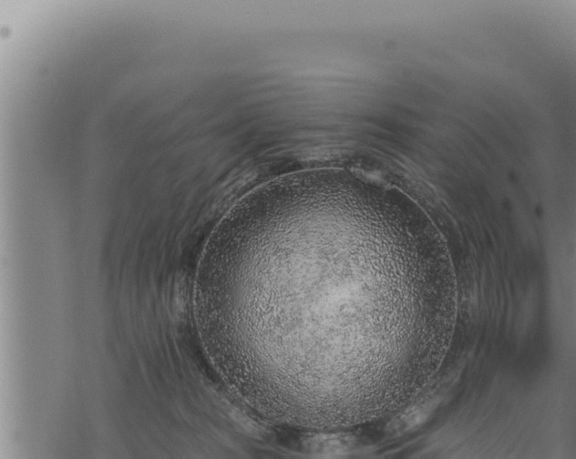 X0000068830277200605121349