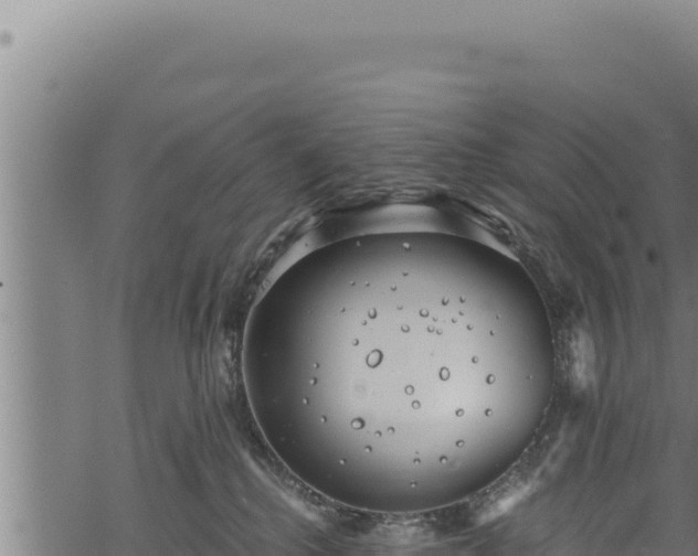 X0000068830280200605121349