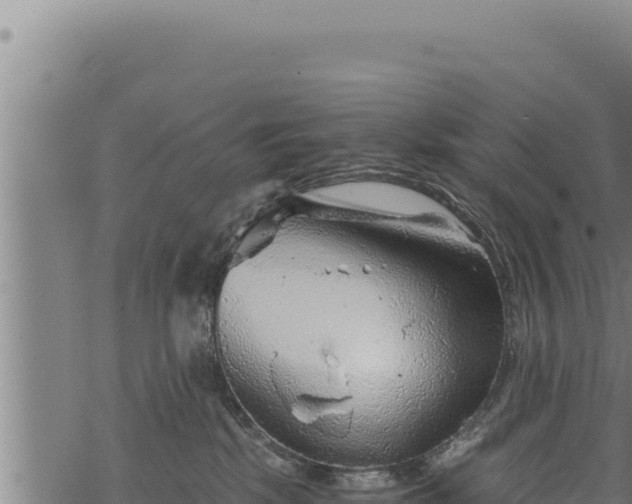 X0000068830281200605121349