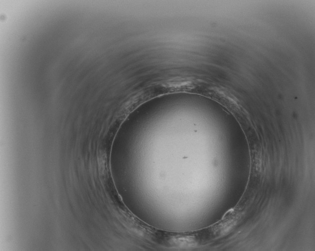 X0000068830283200605121349