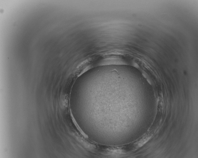 X0000068830284200605121349