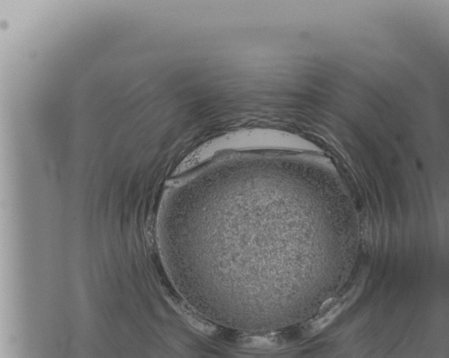 X0000068830285200605121349