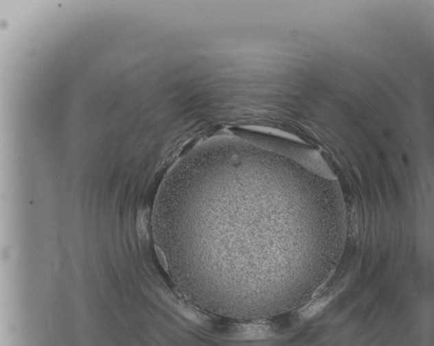 X0000068830286200605121349