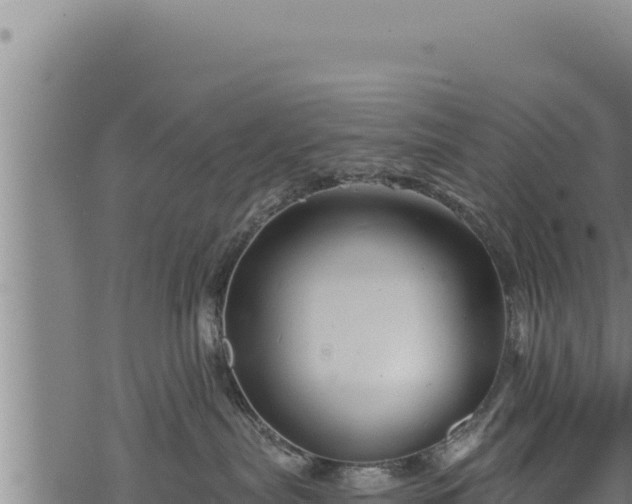 X0000068830287200605121349