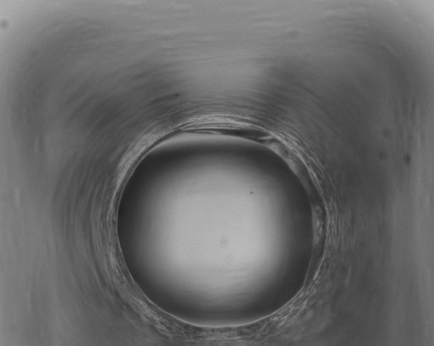 X0000068830289200605121348