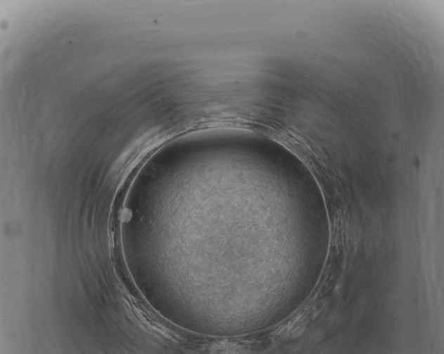 X0000068830290200605121348