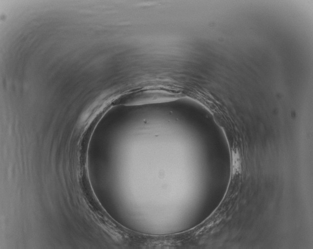 X0000068830291200605121348