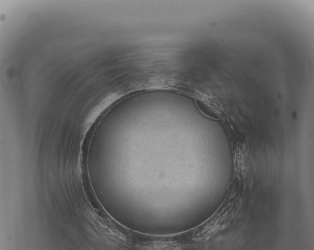 X0000068830292200605121348