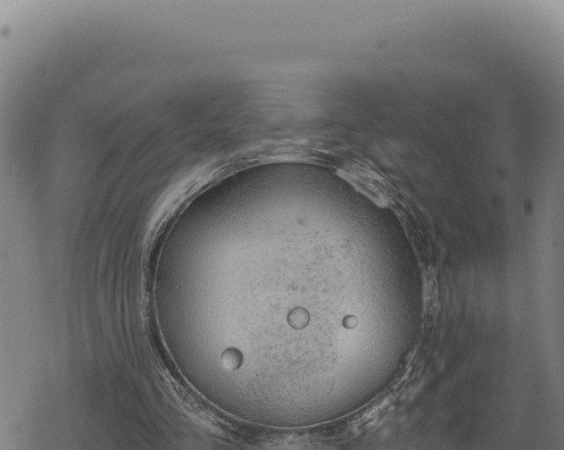 X0000068830293200605121348