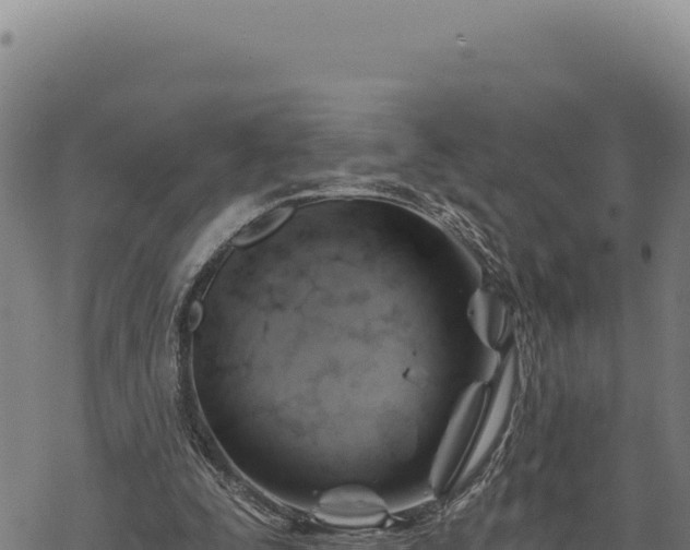 X0000068830295200605121348