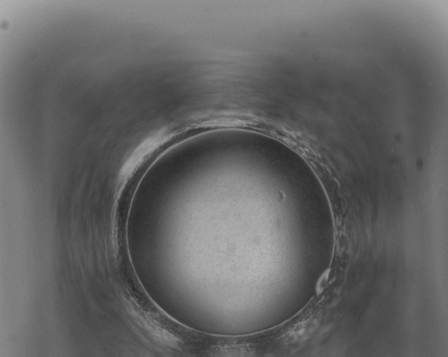 X0000068830296200605121348