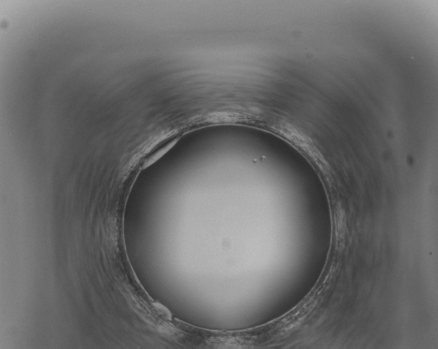 X0000068830297200605121348