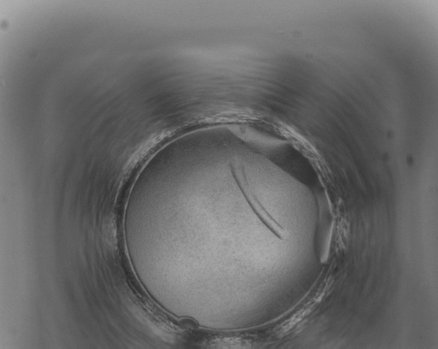 X0000068830298200605121348