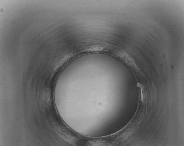 X0000068830300200605121348