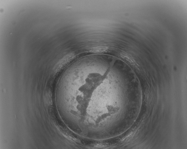 X0000068830303200605121348