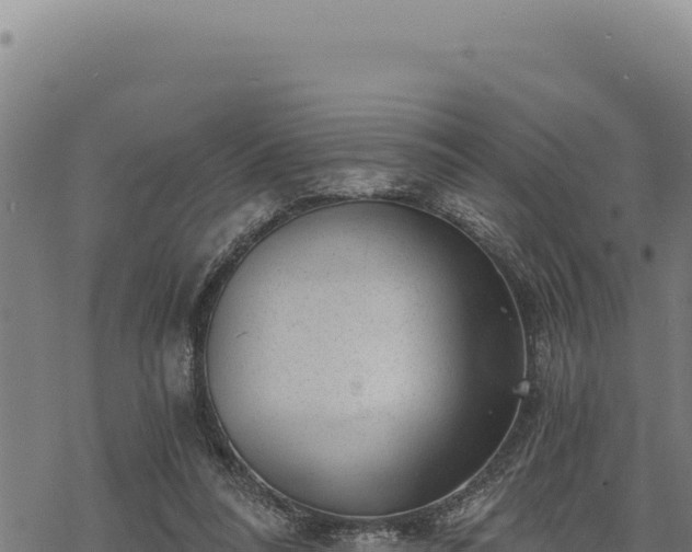 X0000068830304200605121348