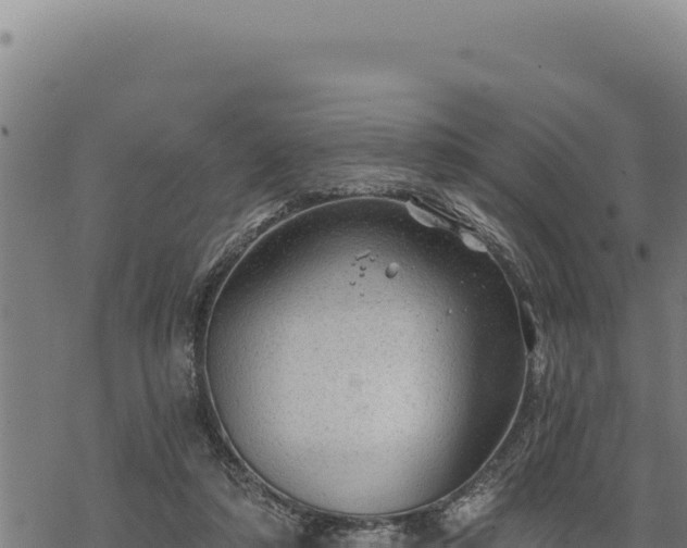 X0000068830306200605121348